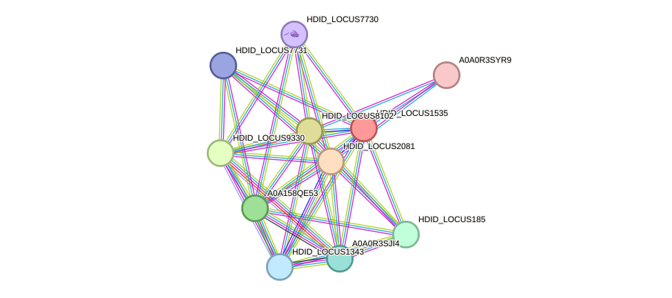 STRING protein interaction network