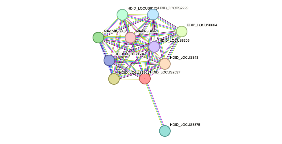 STRING protein interaction network