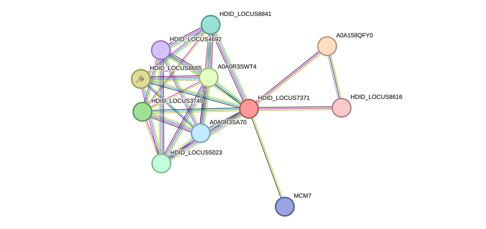STRING protein interaction network