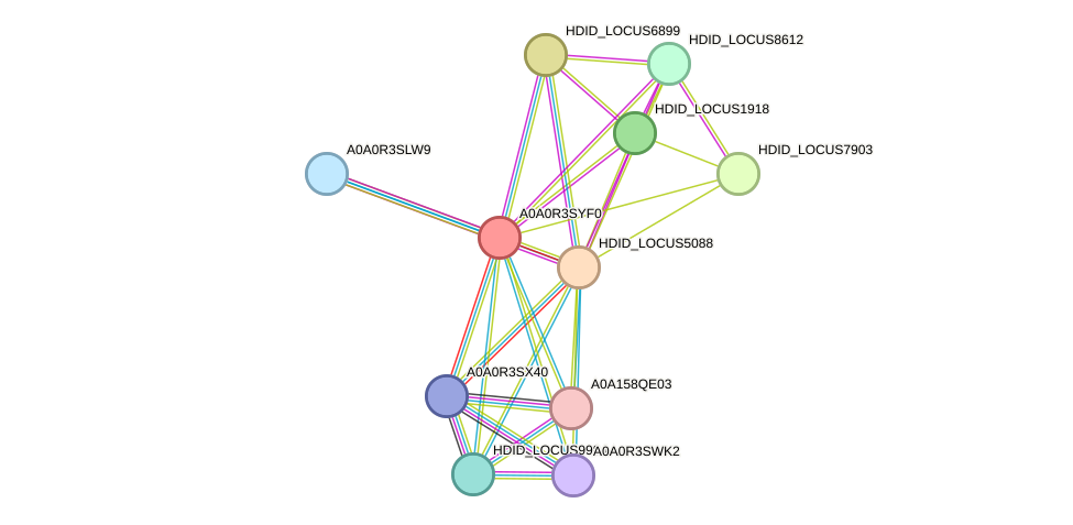 STRING protein interaction network