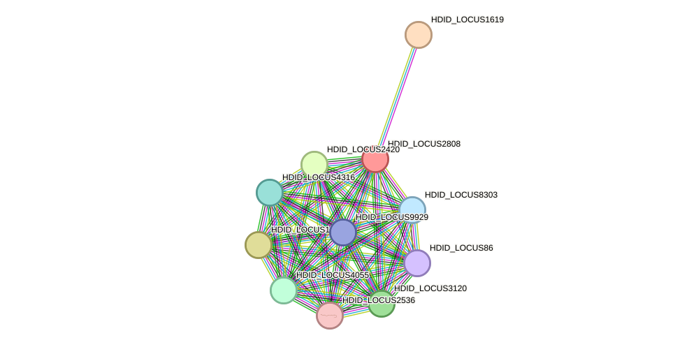 STRING protein interaction network