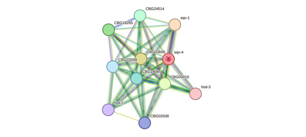 STRING protein interaction network