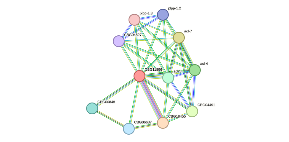 STRING protein interaction network