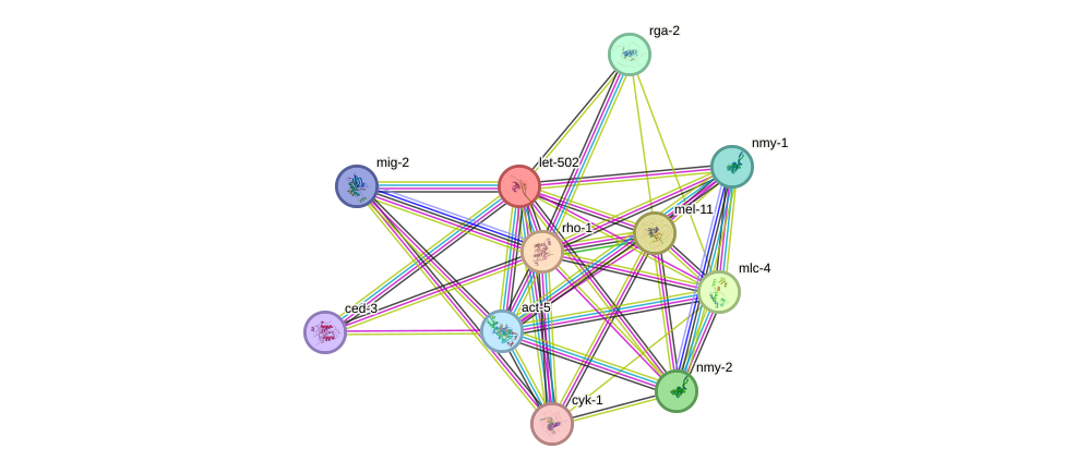 STRING protein interaction network