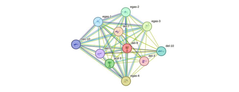 STRING protein interaction network