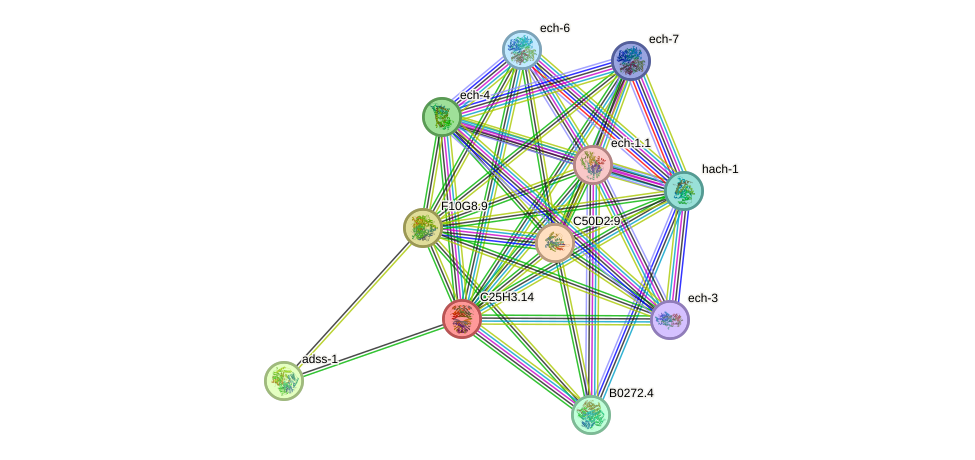 STRING protein interaction network