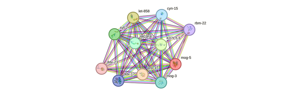 STRING protein interaction network