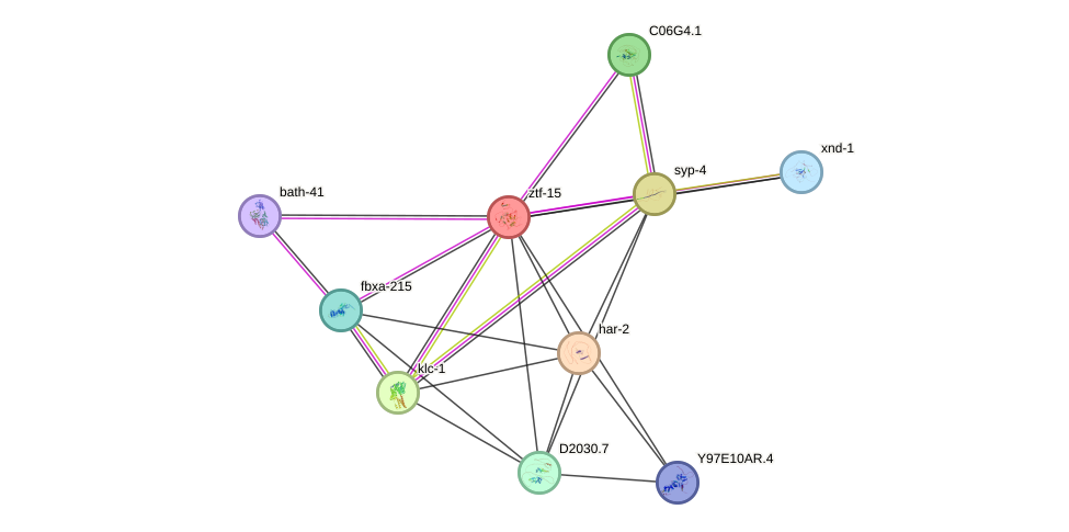 STRING protein interaction network