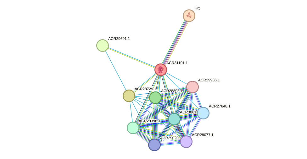 STRING protein interaction network