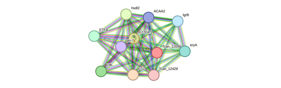 STRING protein interaction network
