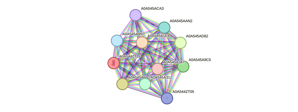 STRING protein interaction network