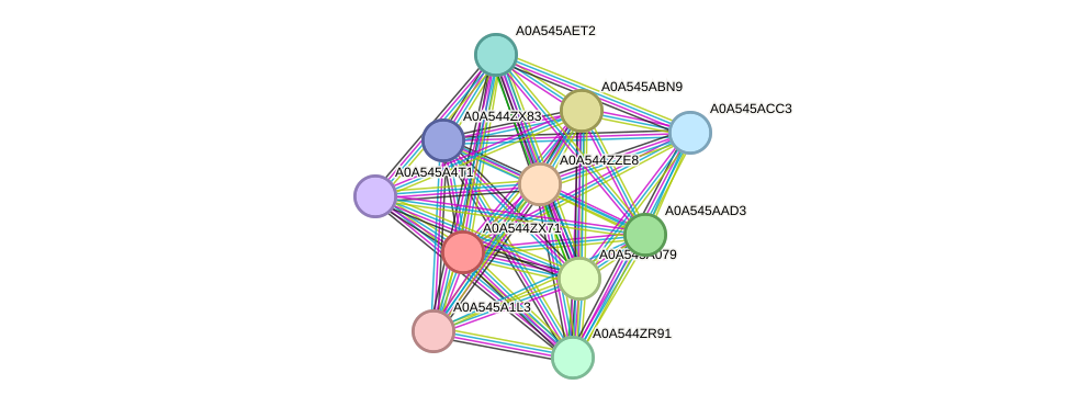 STRING protein interaction network