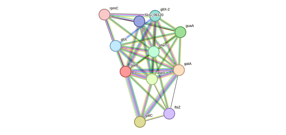 STRING protein interaction network