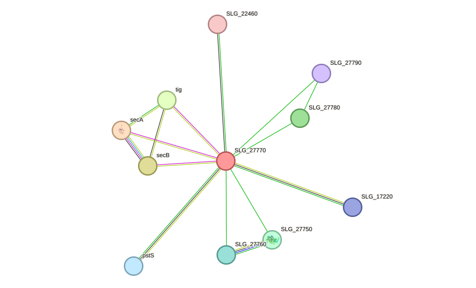 STRING protein interaction network