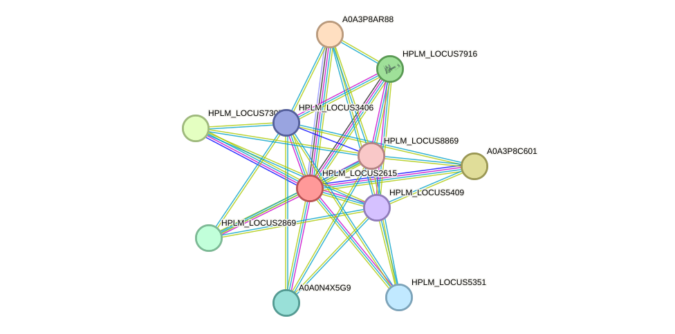 STRING protein interaction network
