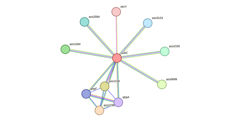 STRING protein interaction network
