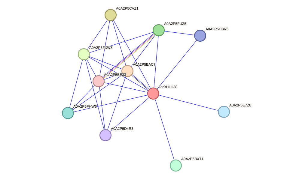 STRING protein interaction network