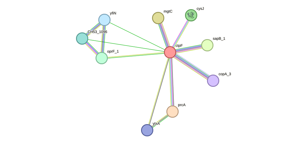 STRING protein interaction network