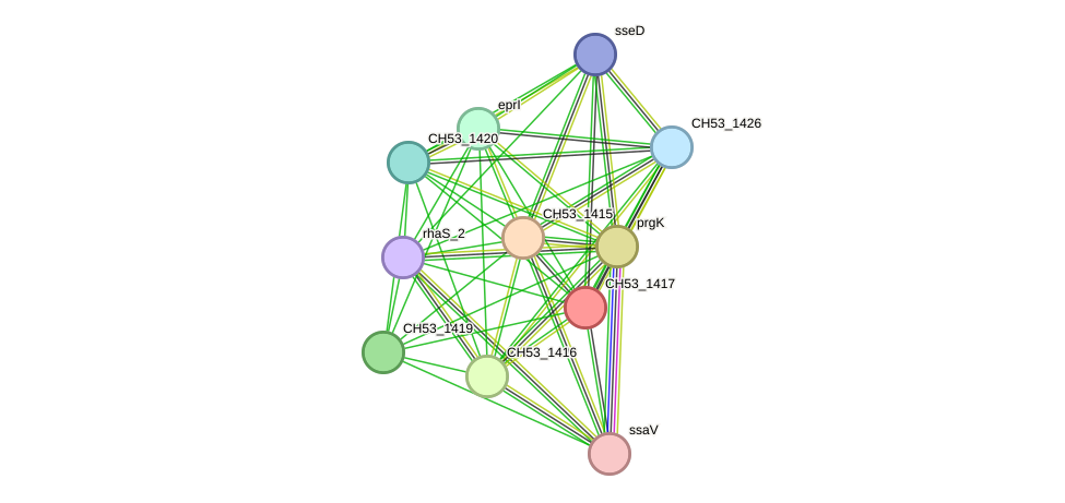 STRING protein interaction network