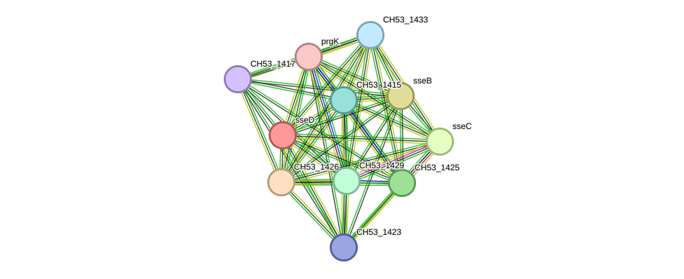 STRING protein interaction network