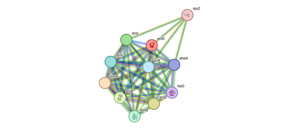 STRING protein interaction network