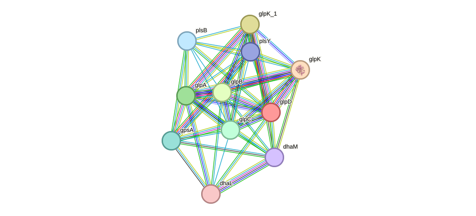STRING protein interaction network
