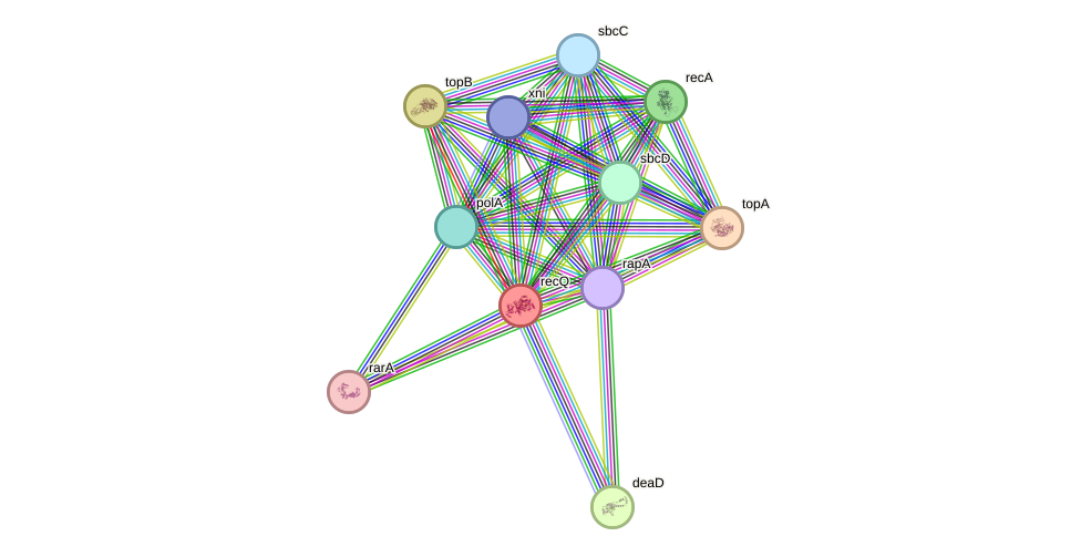 STRING protein interaction network