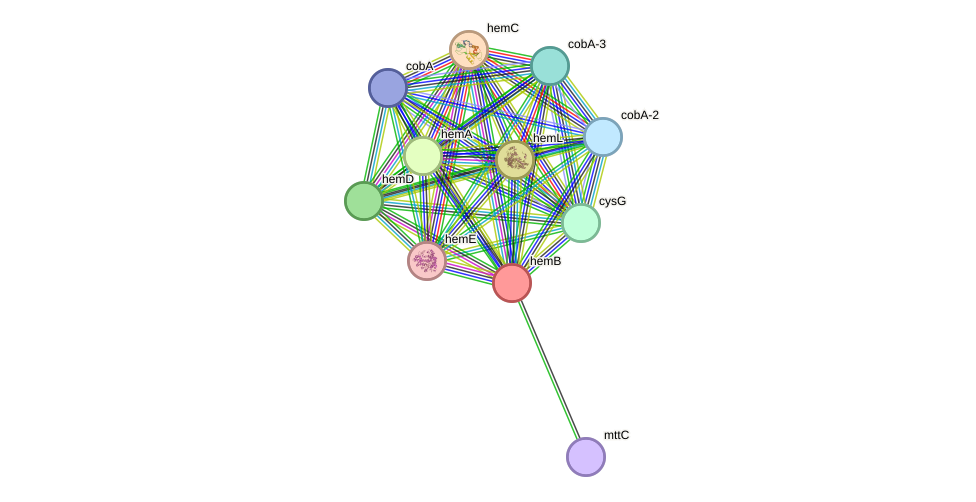 STRING protein interaction network
