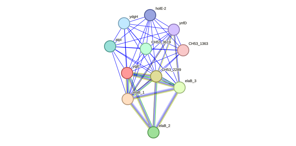 STRING protein interaction network