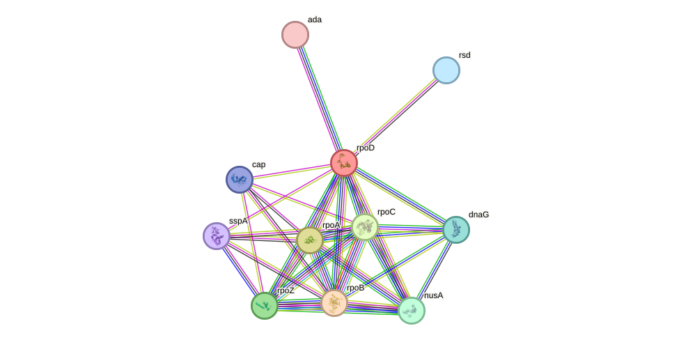 STRING protein interaction network