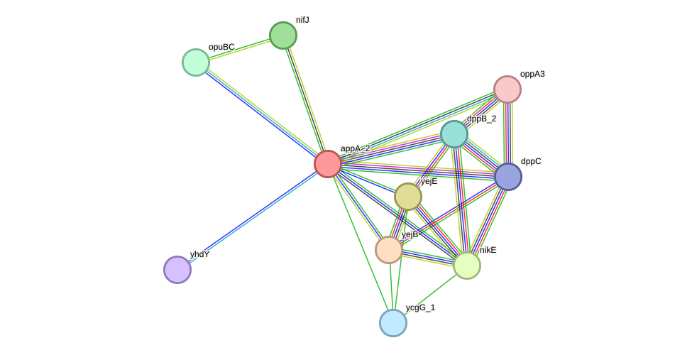 STRING protein interaction network