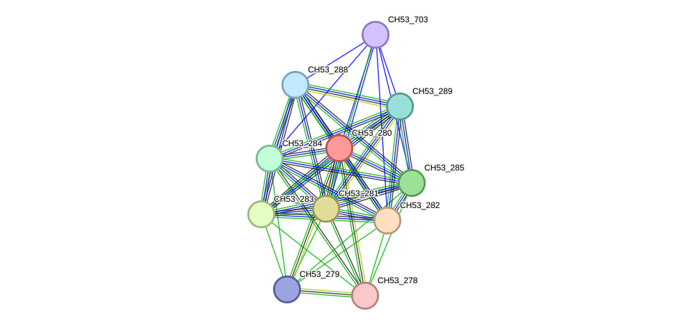 STRING protein interaction network