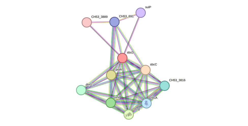 STRING protein interaction network