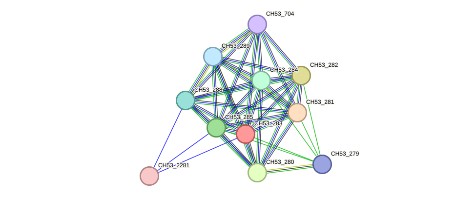 STRING protein interaction network