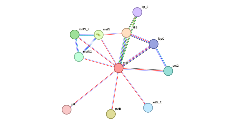 STRING protein interaction network
