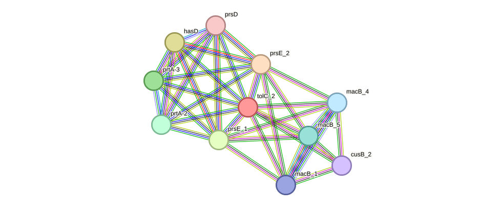 STRING protein interaction network