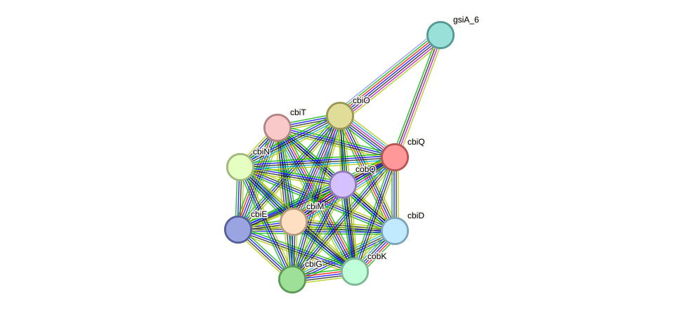 STRING protein interaction network