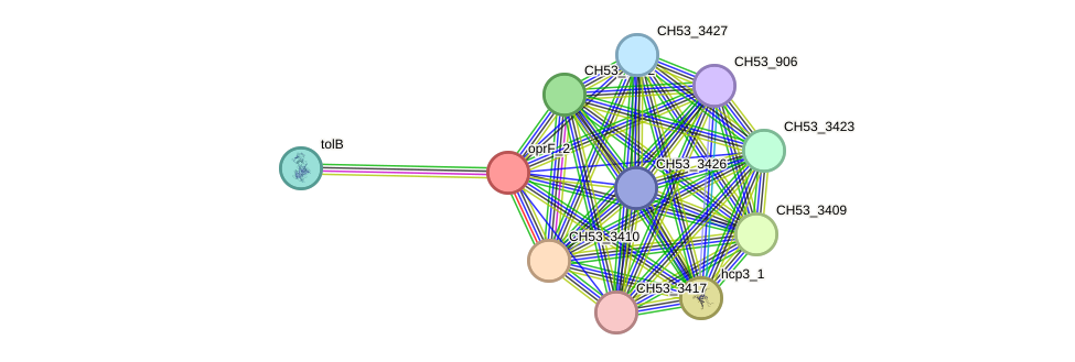STRING protein interaction network