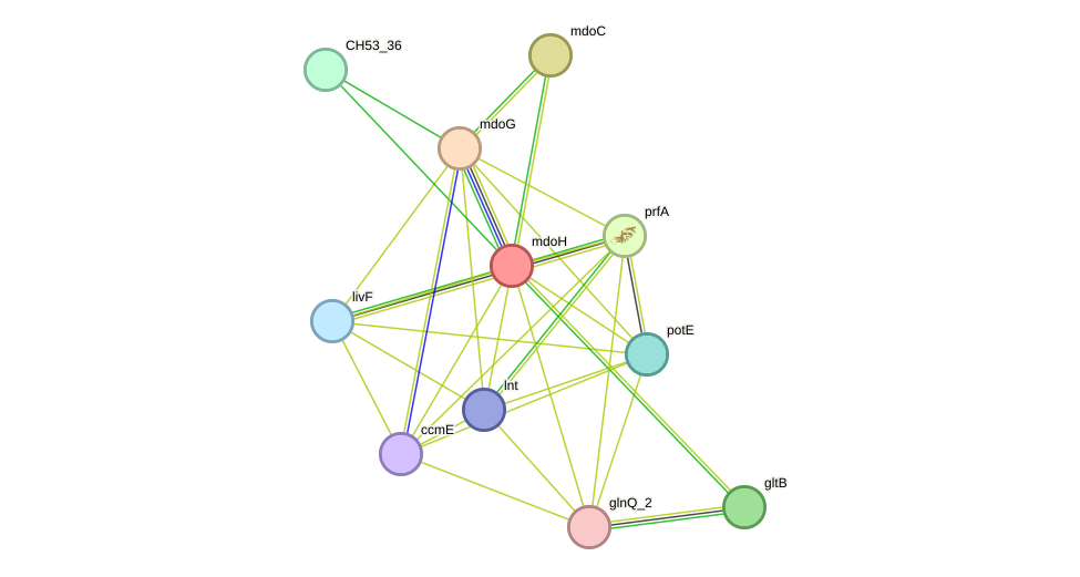 STRING protein interaction network