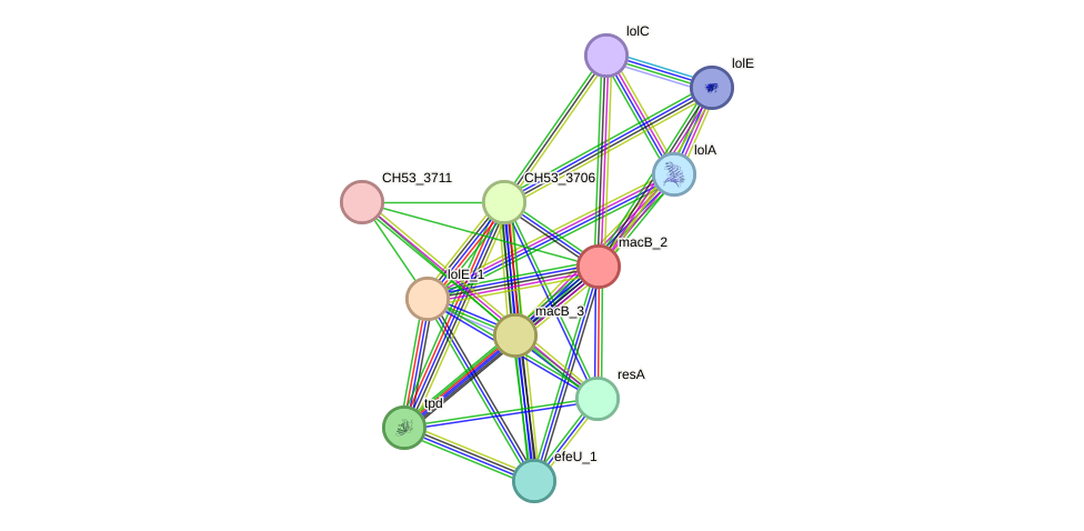 STRING protein interaction network