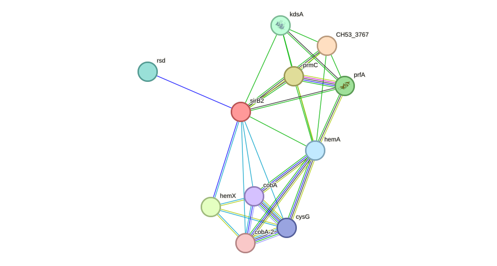 STRING protein interaction network