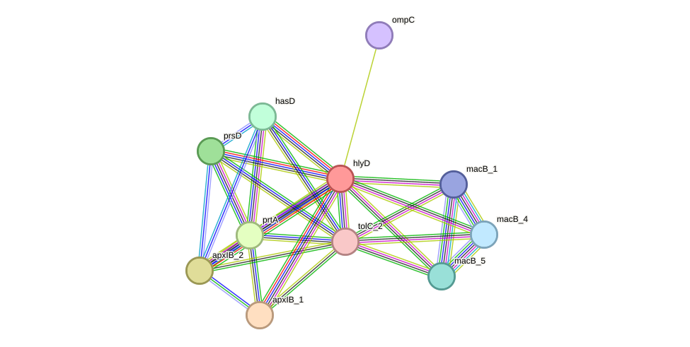 STRING protein interaction network