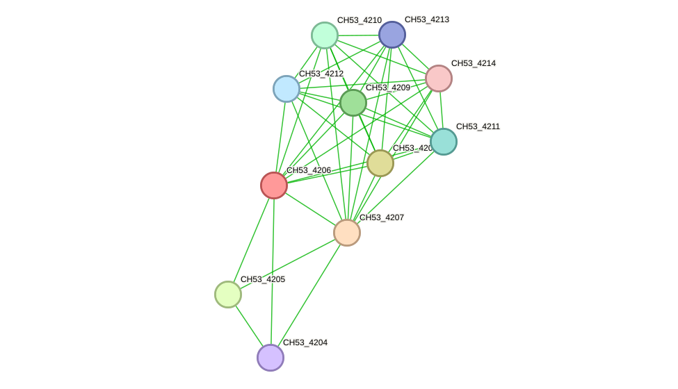 STRING protein interaction network
