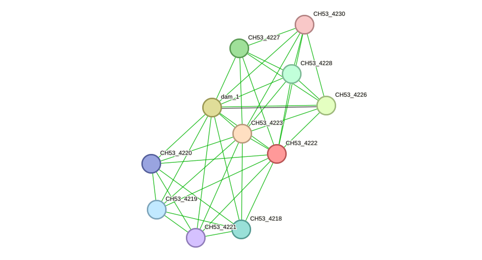 STRING protein interaction network