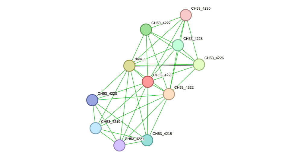 STRING protein interaction network
