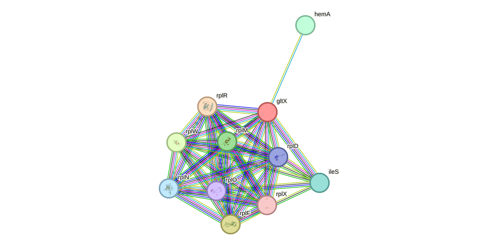 STRING protein interaction network
