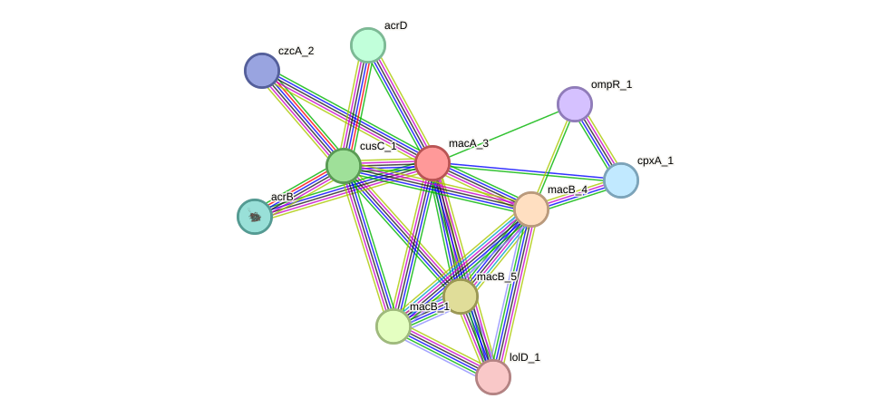 STRING protein interaction network