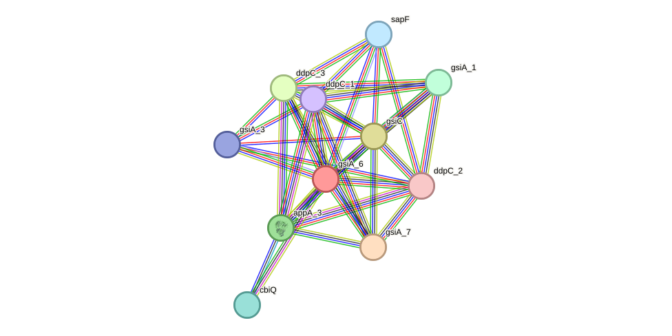 STRING protein interaction network