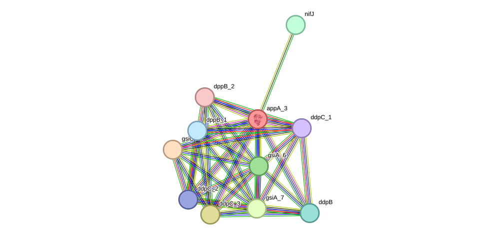 STRING protein interaction network