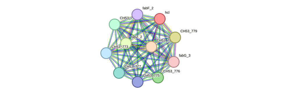 STRING protein interaction network